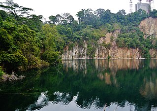 Bukit Timah Nature Reserve