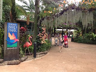 Jurong Bird Park Singapore