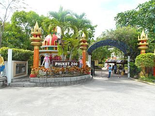 Best Things To Do In Phuket 6