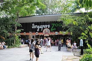 Best Things To Do In Singapore 2