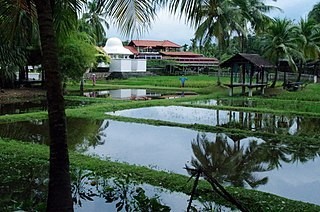 Laman Padi Langkawi