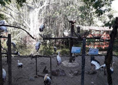 Penang Bird Park