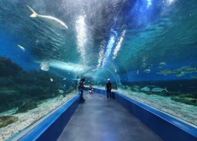 Manila Ocean Park