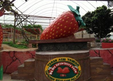 Big Red Strawberry Farm