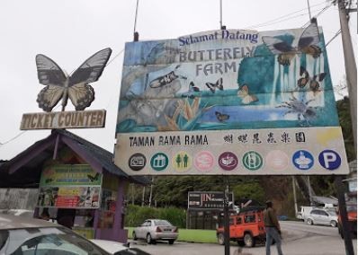 Cameron Highland Butterfly Garden