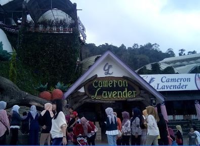 Best Things To Do In Cameron Highlands 1