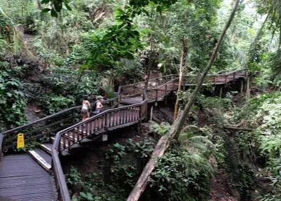 Sacred Monkey Forest Sanctuary Bali