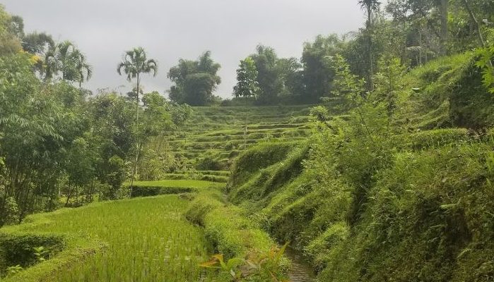 Tetebatu Lombok