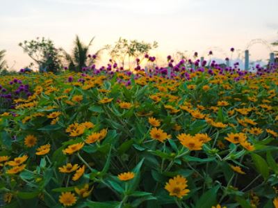 Narmada Botanic Garden Lombok