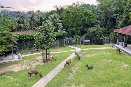 Deer Park Kuala Lumpur
