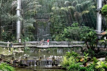 Kuala Lumpur Bird Park