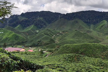 Cameron Highlands Climate